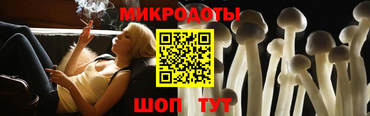 Галлюциногенные грибы мицелий  Вход с VPN  Псилоцибиновые грибы ЛСД  купить   Гулькевичи 